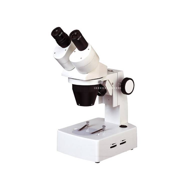 體視顯微鏡圖片