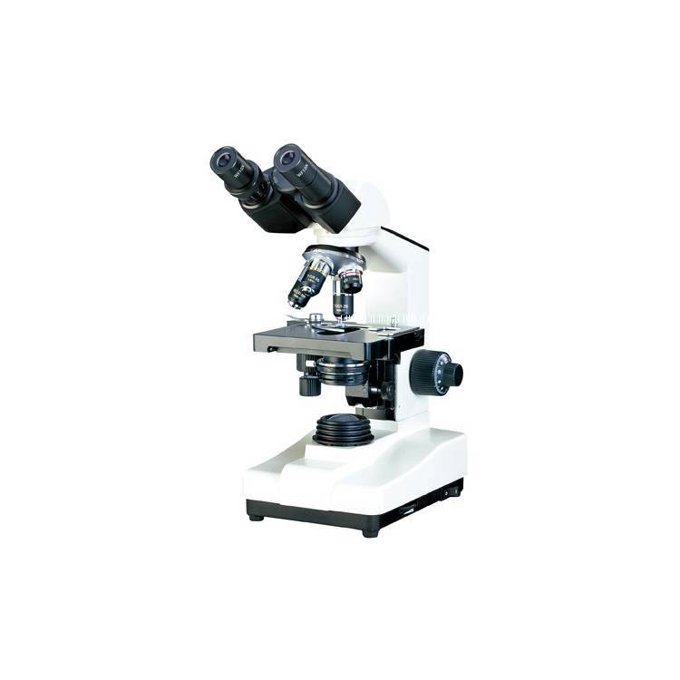 生物顯微鏡圖片